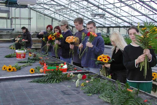 Schülerinnen und Schüler einer Fachschule bei der Arbeit mit Blumen und Pflanzen